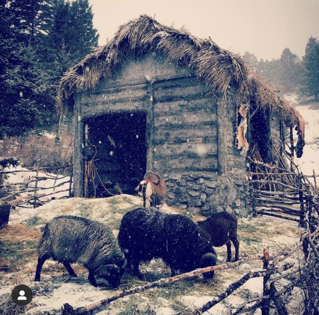 Yellowstone Film Ranch